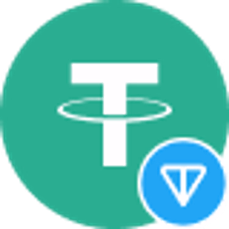 coin icon