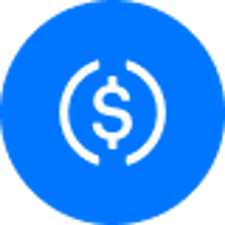 coin icon
